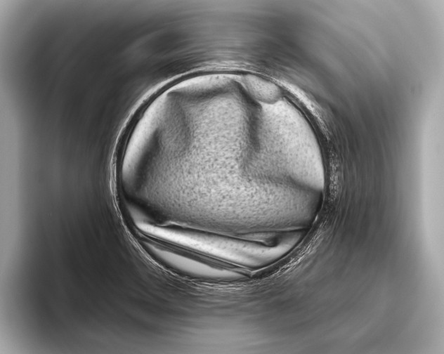 X0000093481468200711020924
