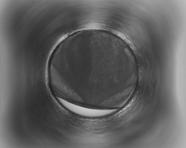 X0000093481469200711020924