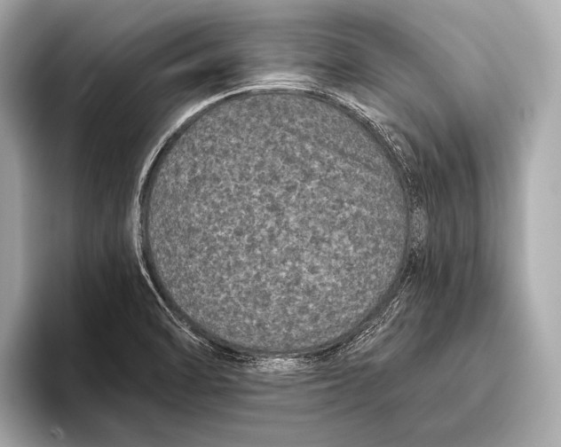 X0000093481470200711020924