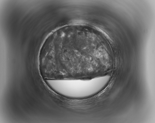 X0000093481471200711020924