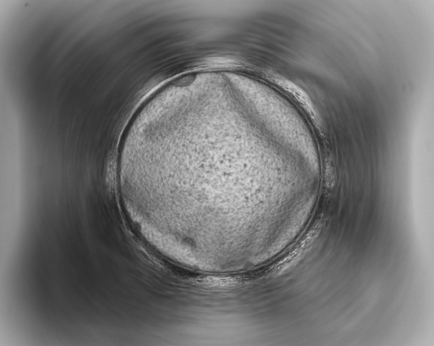 X0000093481473200711020924
