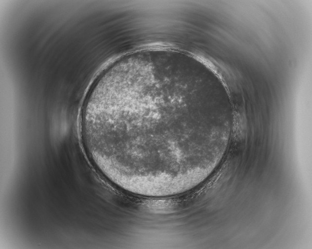 X0000093481474200711020924