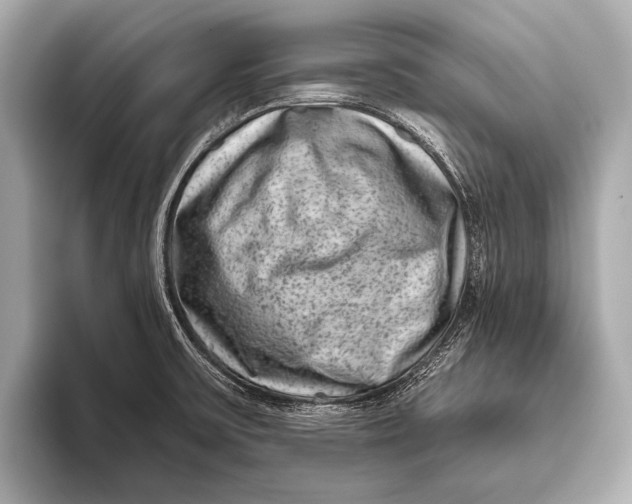 X0000093481475200711020924