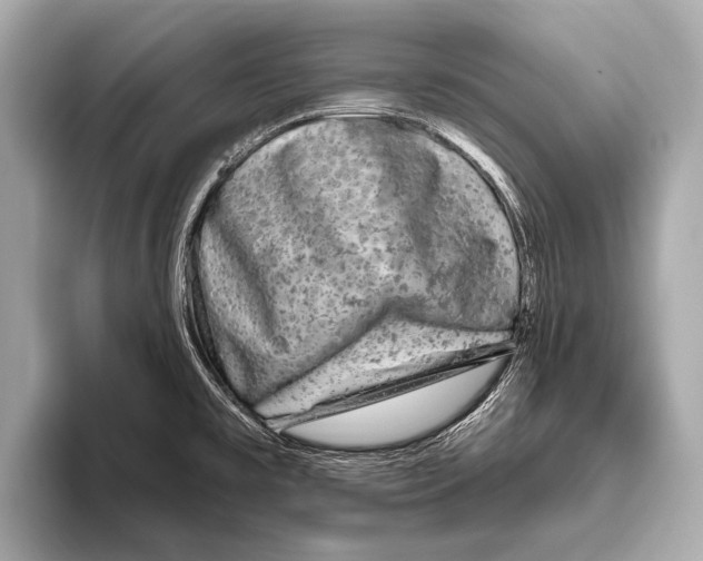 X0000093481477200711020924