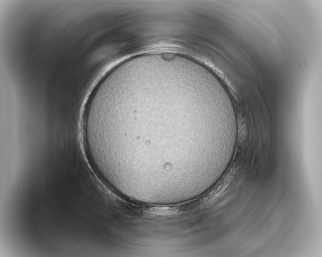 X0000093481478200711020924