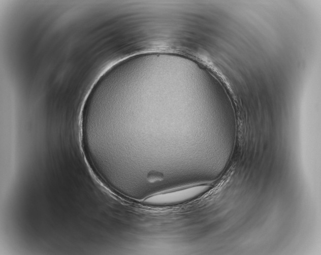X0000093481479200711020924