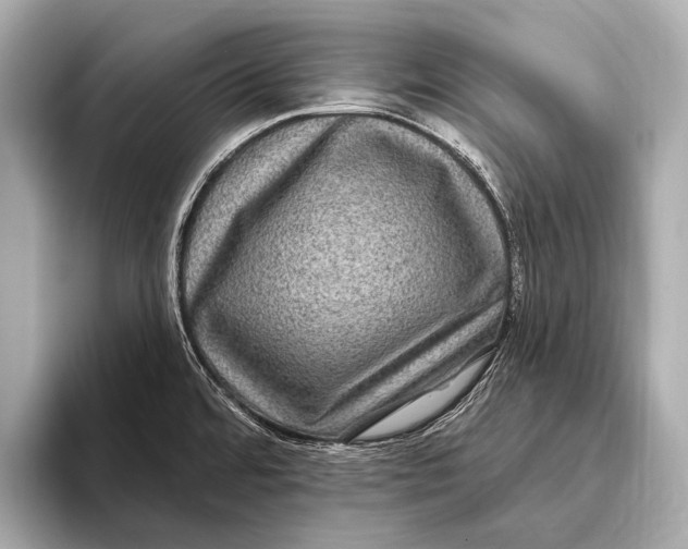 X0000093481480200711020924