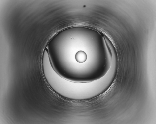 X0000093481481200711020924