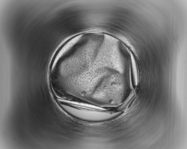 X0000093481484200711020924
