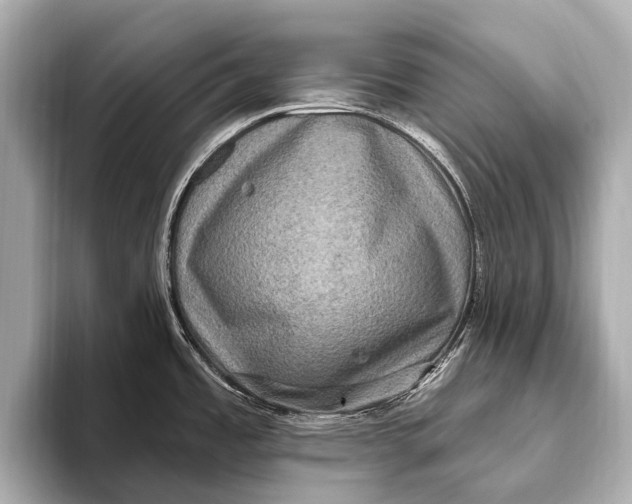 X0000093481485200711020924