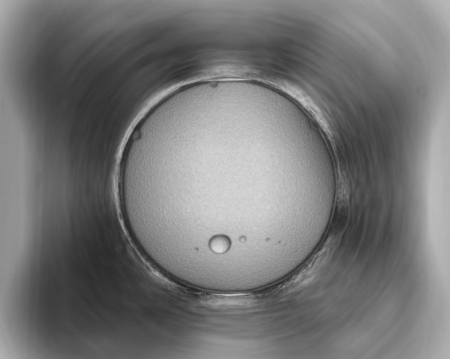 X0000093481486200711020924