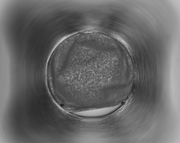 X0000093481487200711020924