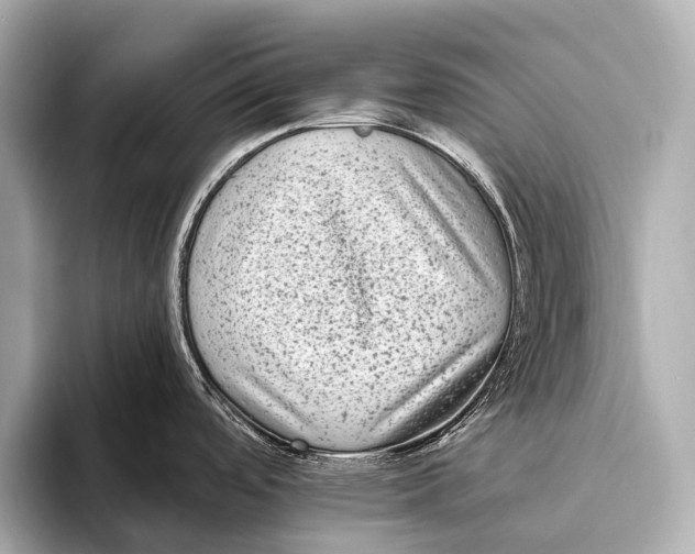 X0000093481488200711020924