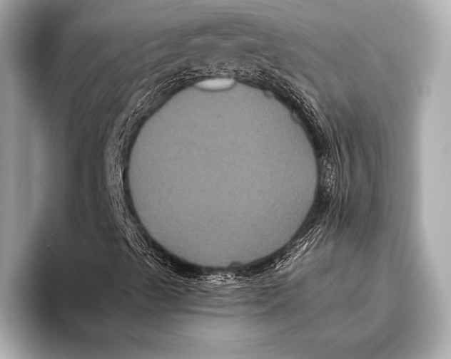 X0000093481489200711020924