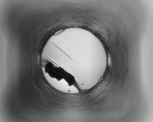 X0000093481492200711020924