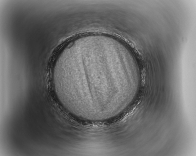 X0000093481494200711020924
