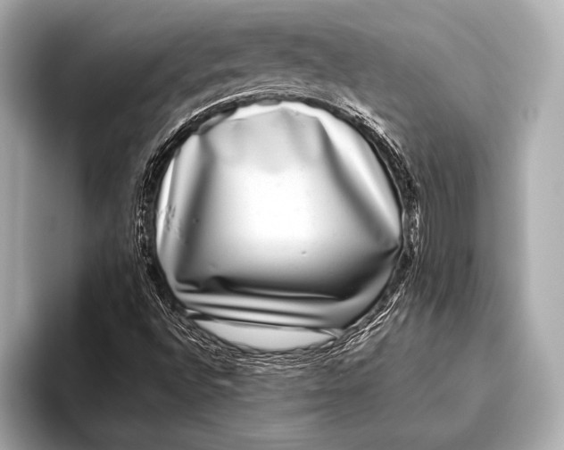 X0000093481496200711020924