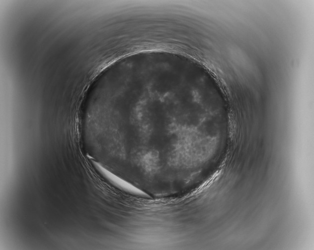 X0000093481497200711020924