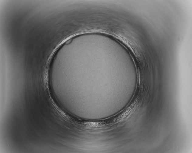 X0000093481500200711020924