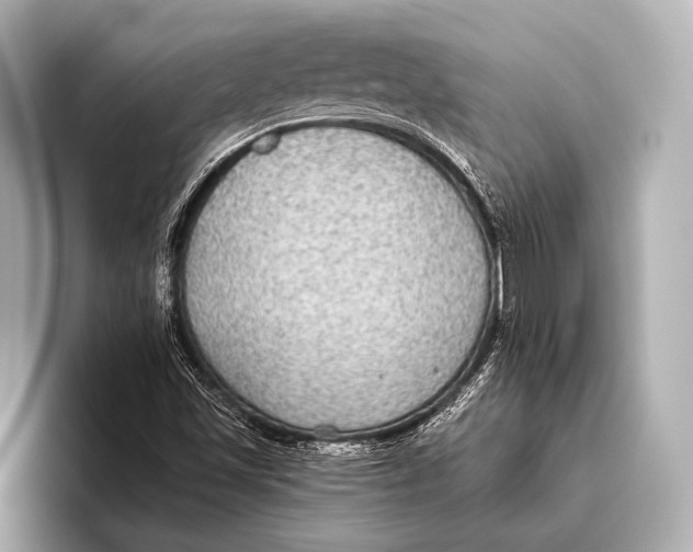X0000093481501200711020924