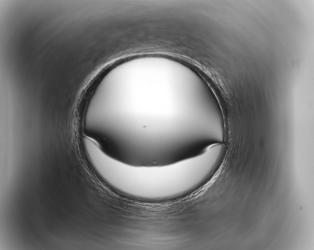 X0000093481502200711020924