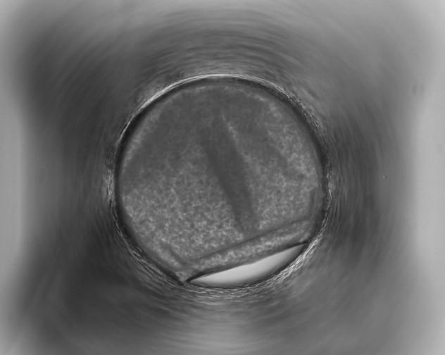 X0000093481505200711020924