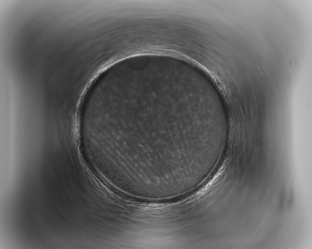 X0000093481506200711020924