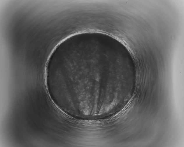 X0000093481508200711020924