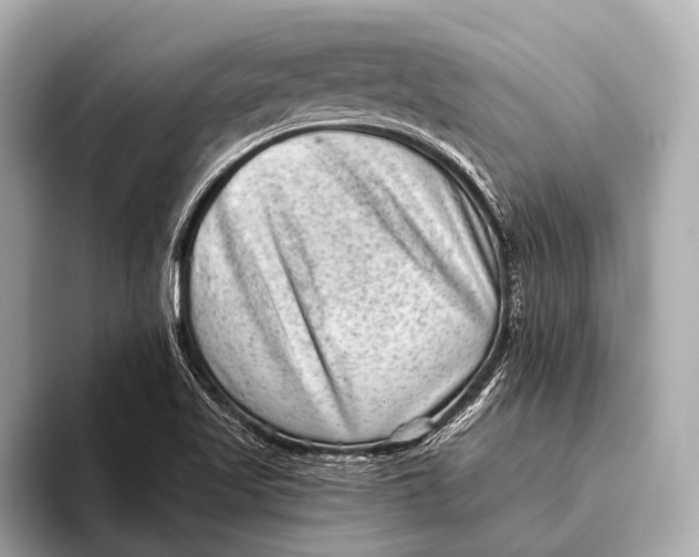 X0000093481509200711020924