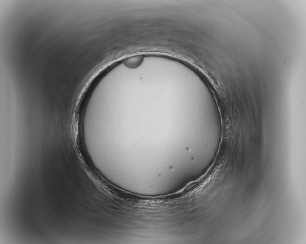X0000093481511200711020924