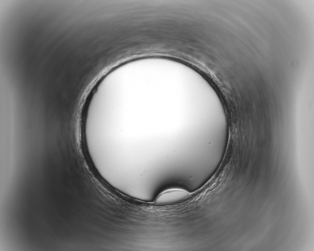 X0000093481512200711020924