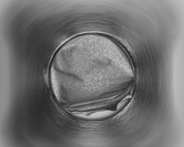X0000093481513200711020924