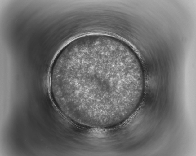X0000093481514200711020924
