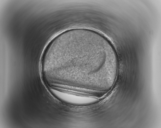 X0000093481517200711020924