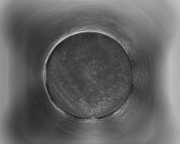 X0000093481519200711020924