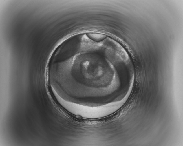 X0000093481522200711020924