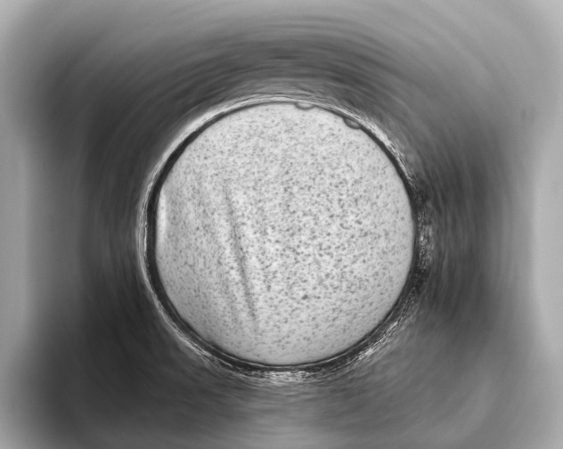 X0000093481523200711020924