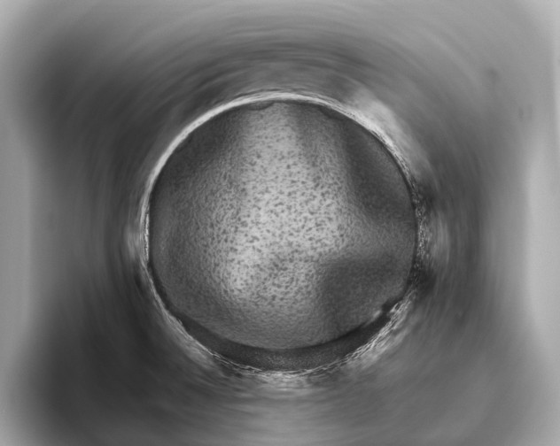 X0000093481524200711020924