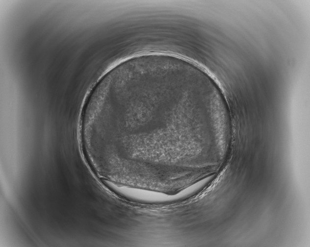 X0000093481525200711020924