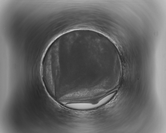 X0000093481527200711020924