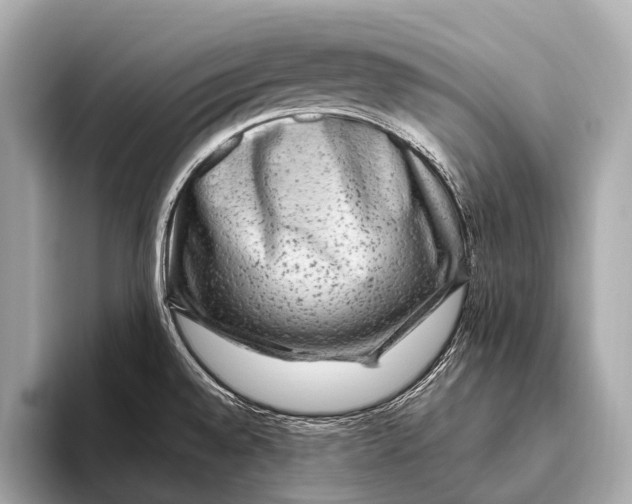 X0000093481528200711020924