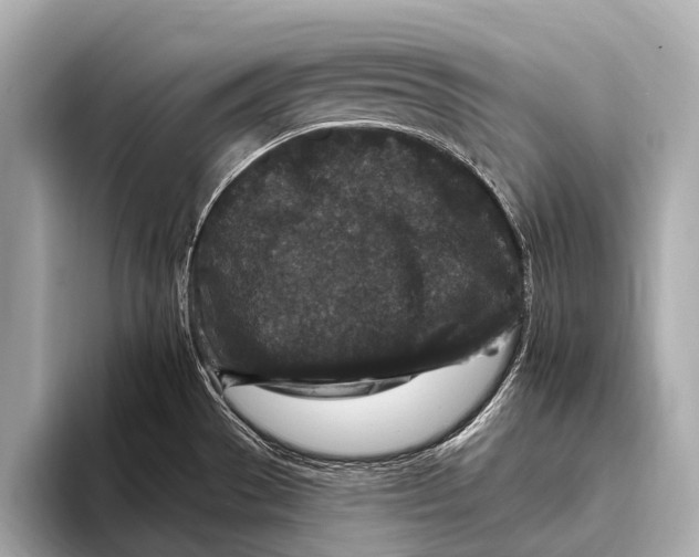 X0000093481529200711020924