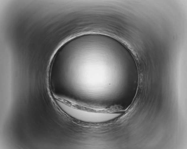 X0000093481530200711020924