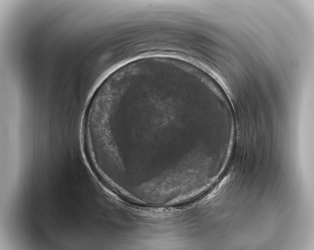 X0000093481533200711020924
