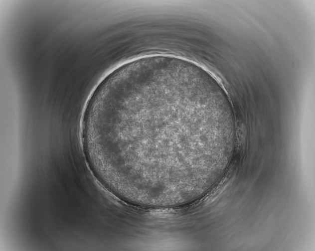 X0000093481535200711020924