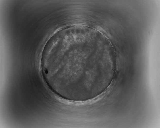 X0000093480002200711091635