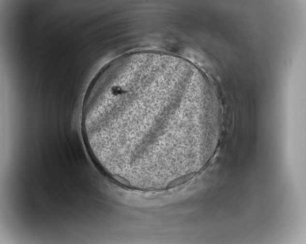 X0000093480003200711091635
