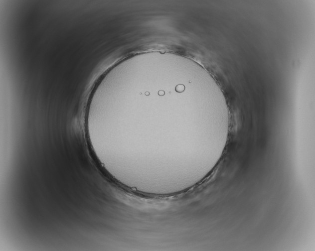 X0000093480004200711091635