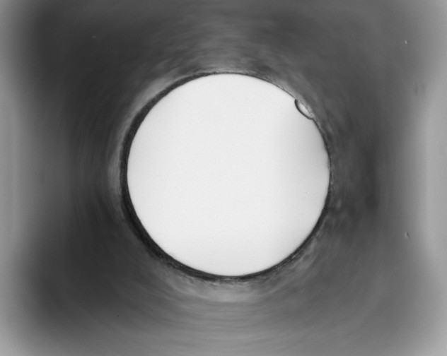 X0000093480008200711091635