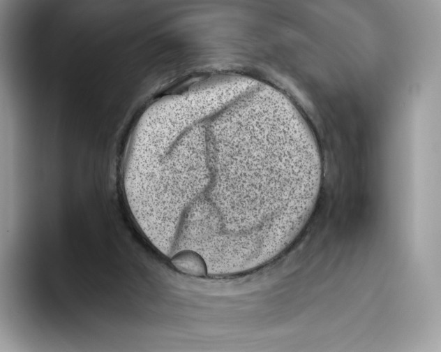 X0000093480010200711091635